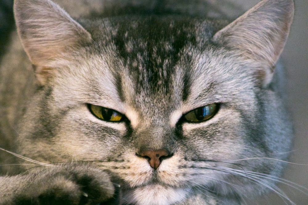 Photograph by Оксана Ижицкая