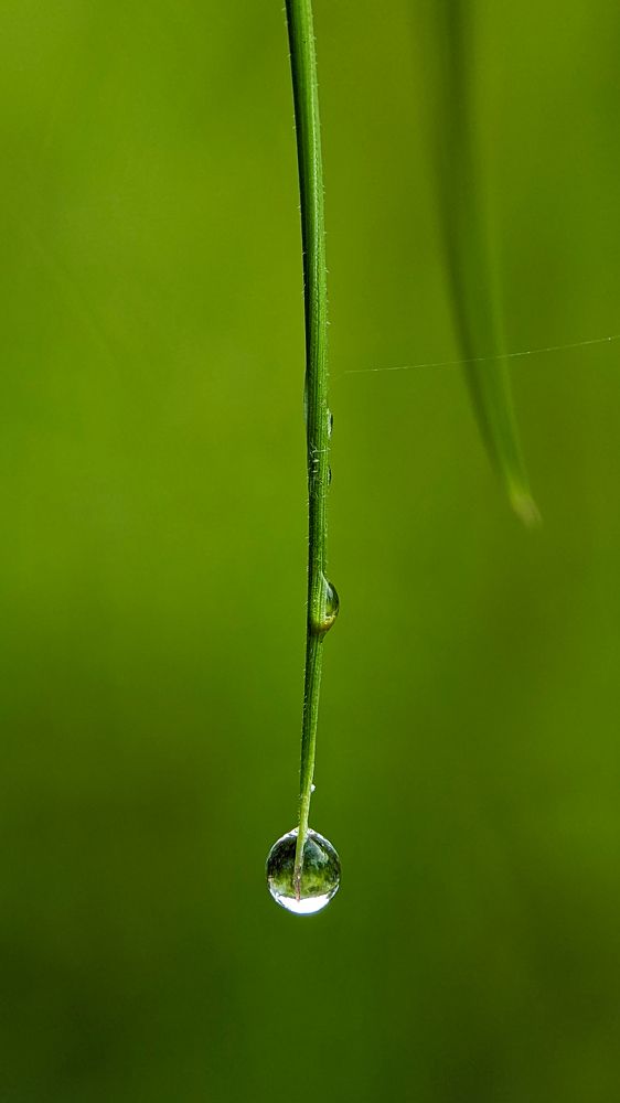 A Moment To Remember