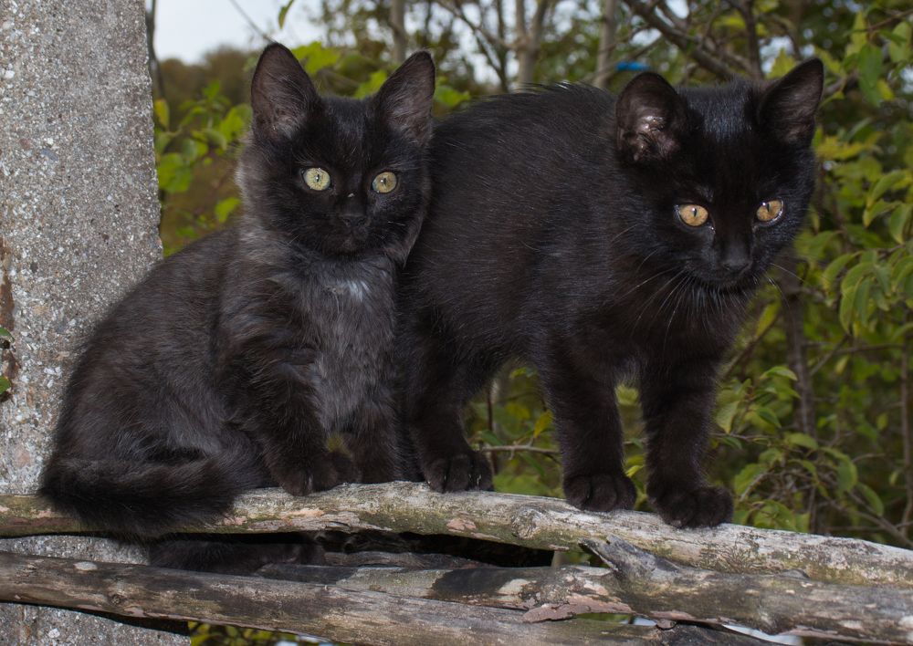 Photograph by Олег Башкуров