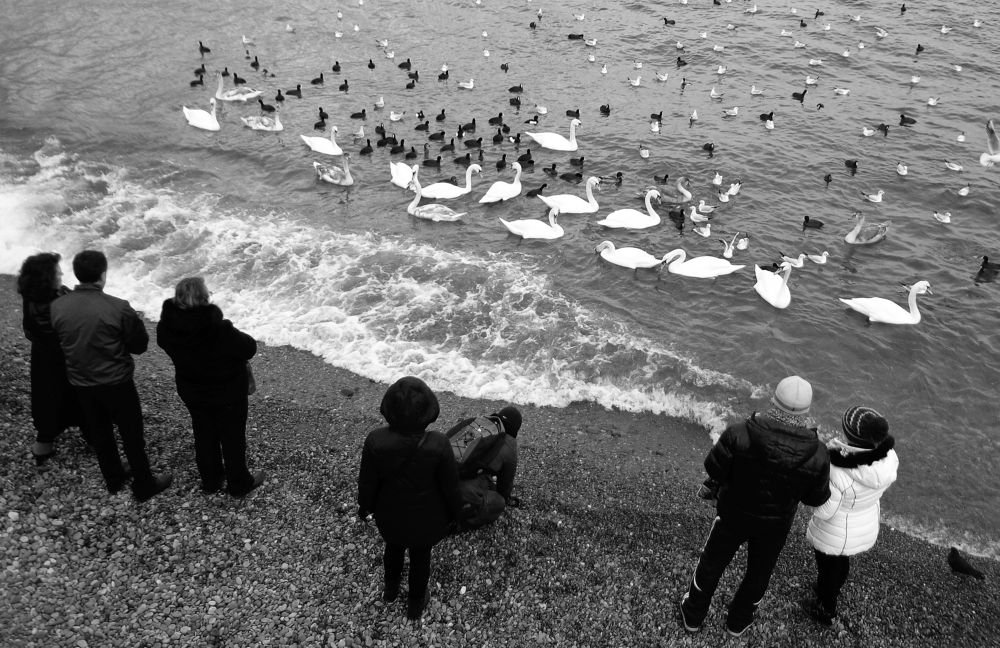 Photograph by Павел Вихрев