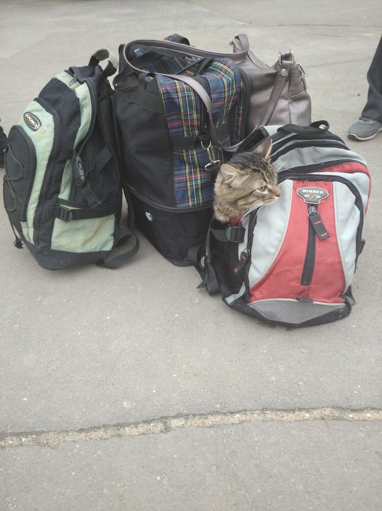 Photograph by Елена Коробченко