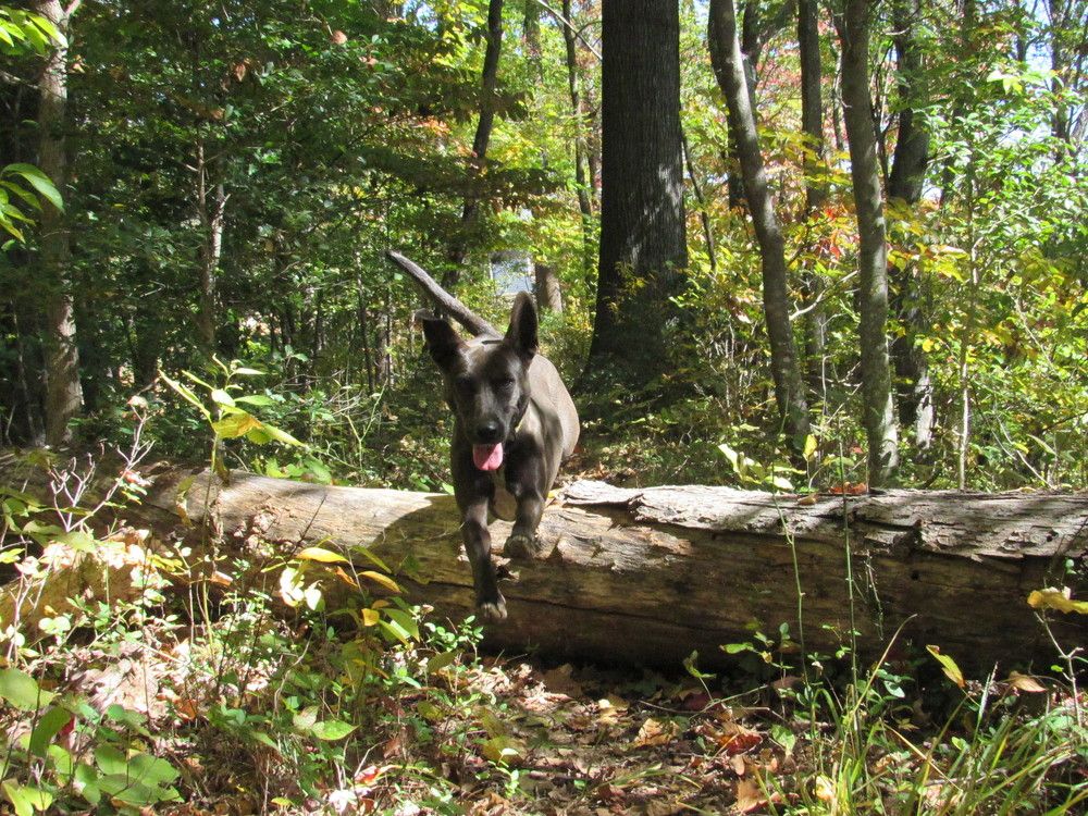 Photograph by Lyndsye Rothkopf