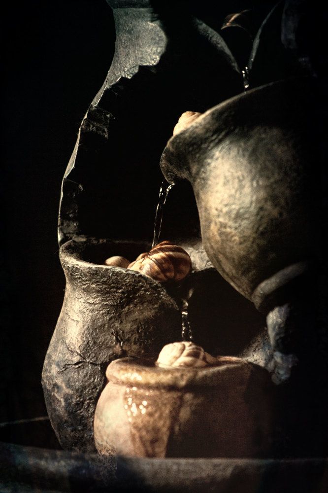 Photograph by Татьяна Савраева