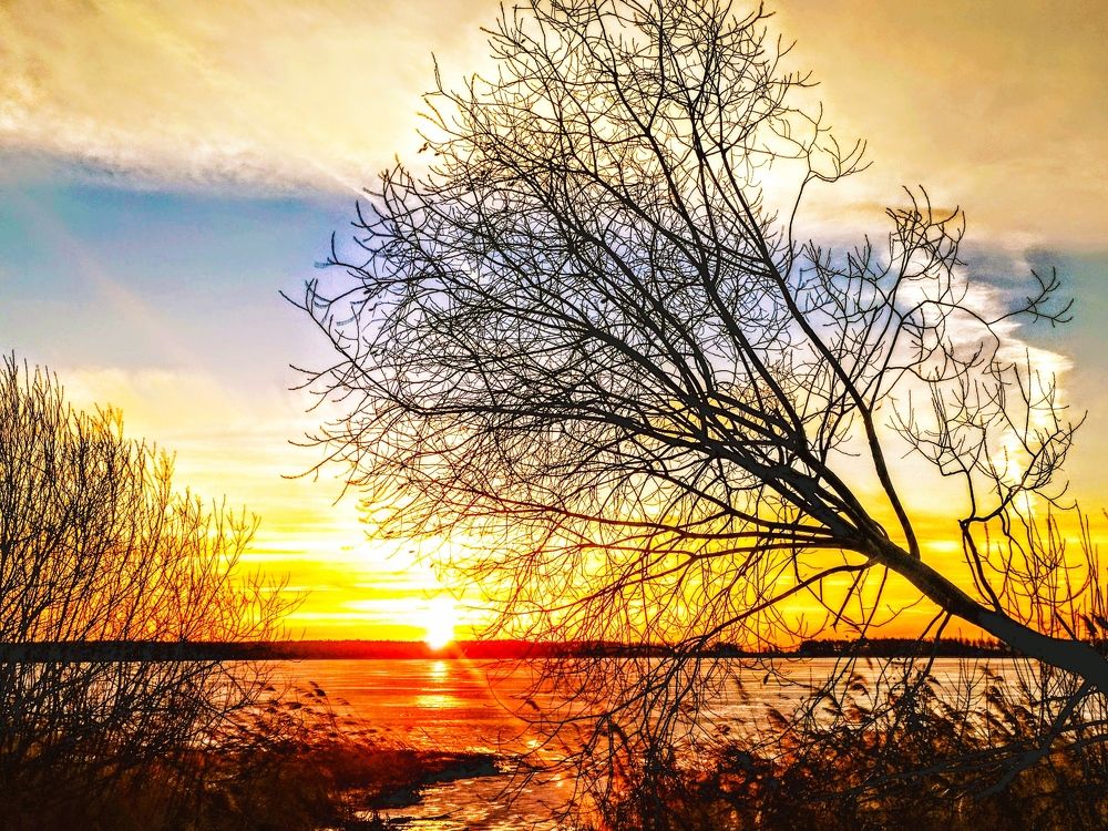 Photograph by Ирина Леончик