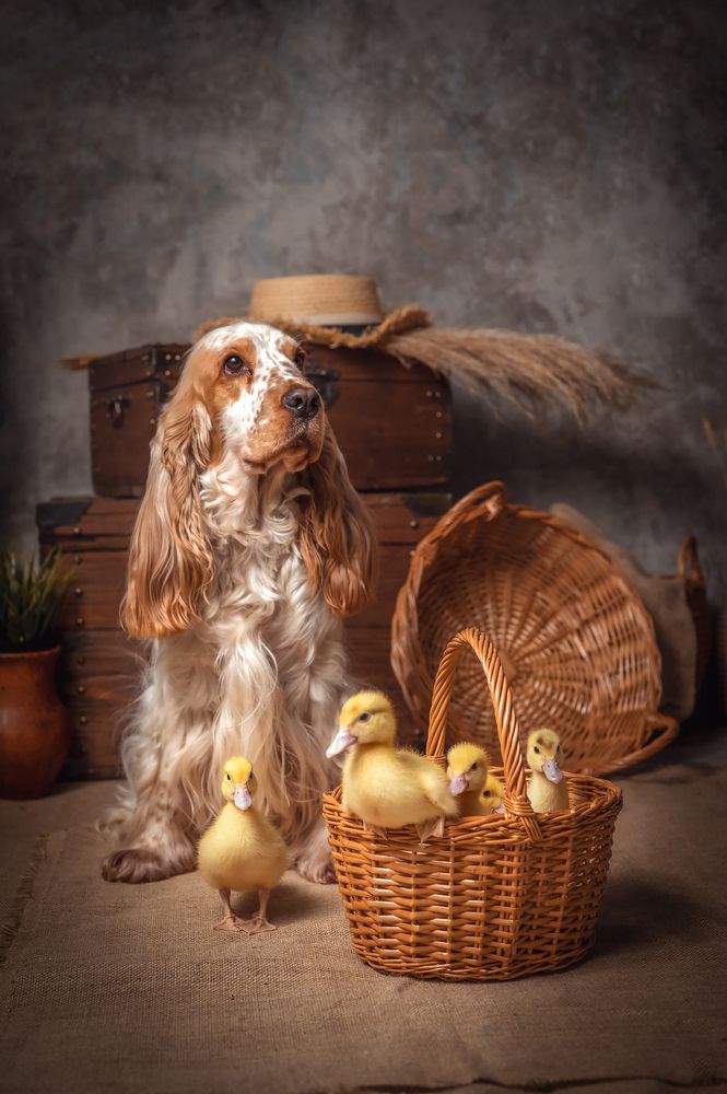 Photograph by Елена Савченкова