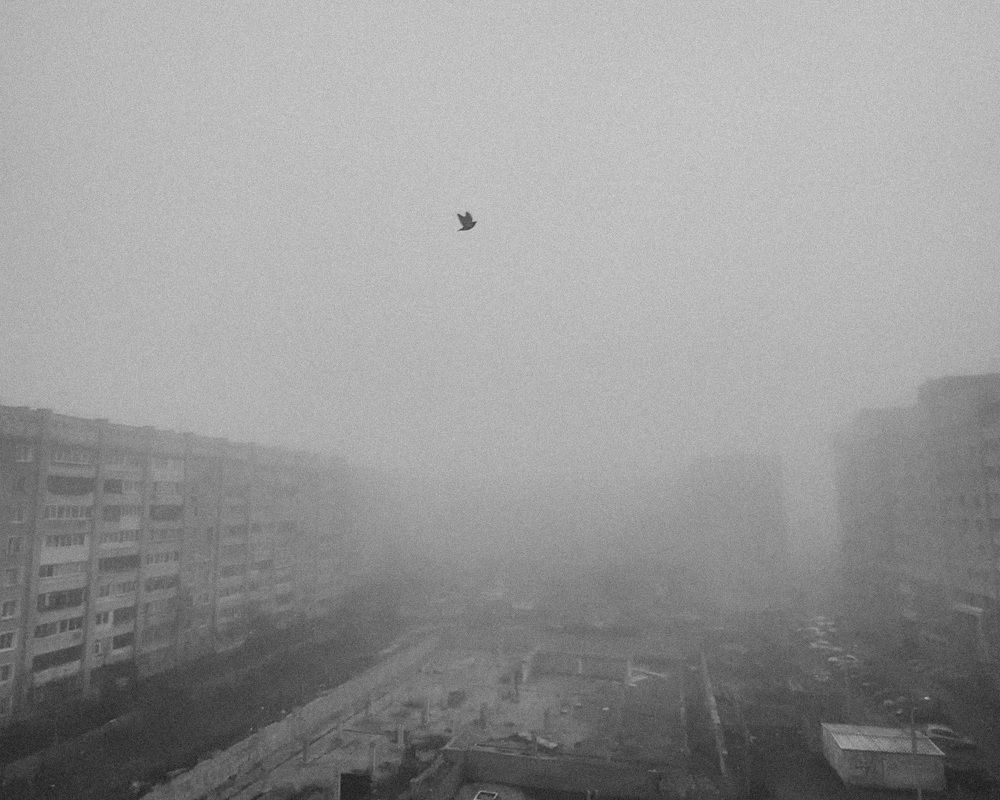 Photograph by Дмитрий Дятлов