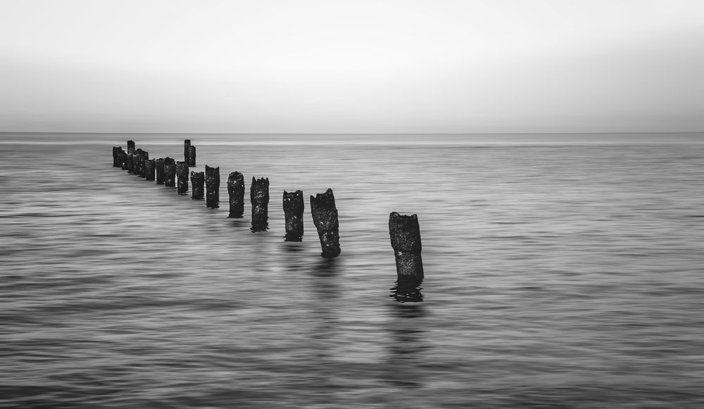 Photograph by Masoumeh Mahmoudi