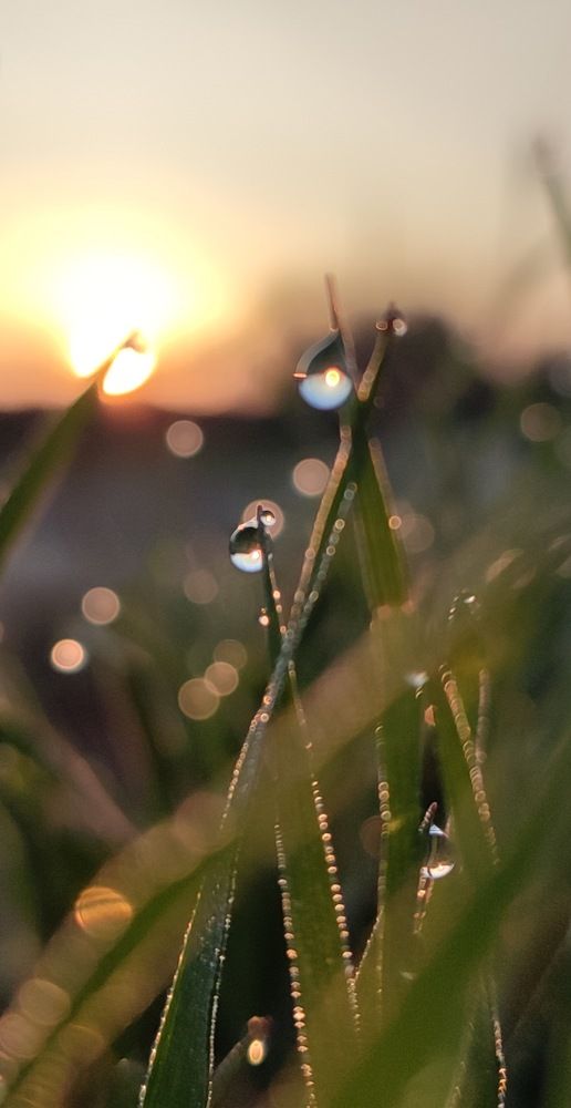 Photograph by Татьяна Долгушева