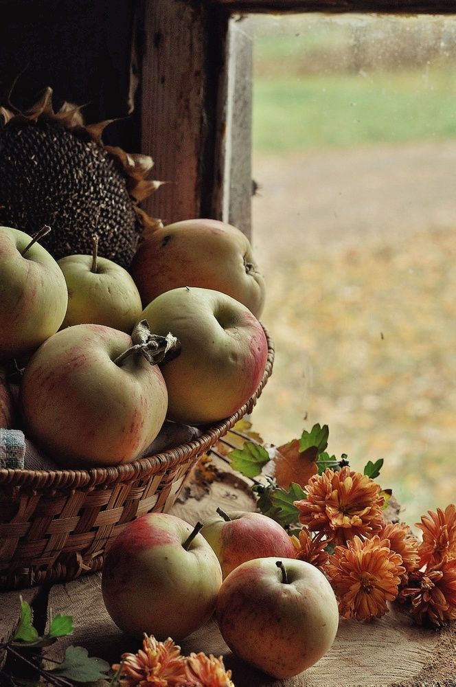 Photograph by Татьяна Смирнова