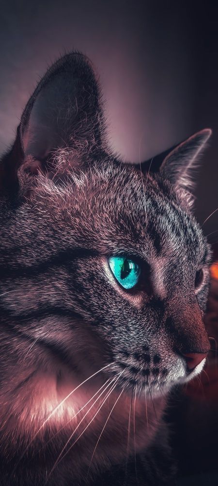Photograph by Юлия Реутова