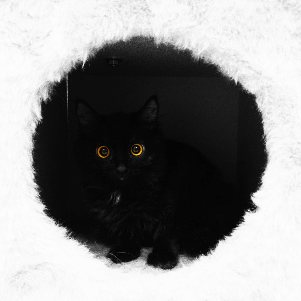 Photograph by олег романов