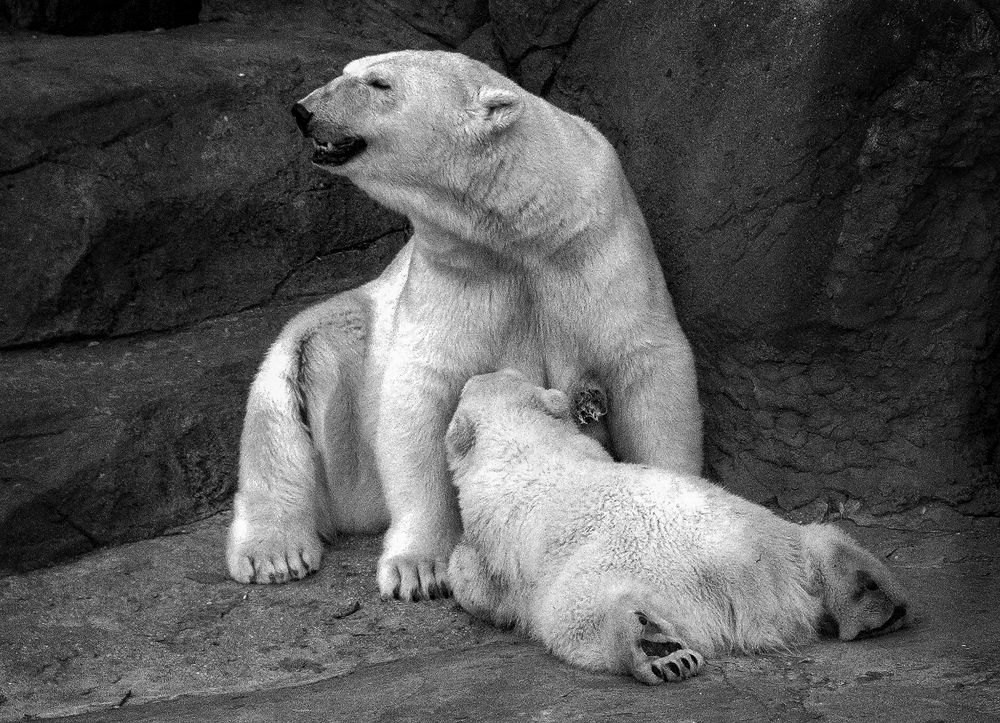 Photograph by Алексей Окунеев