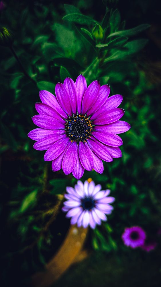 Photograph by Артем Большаков