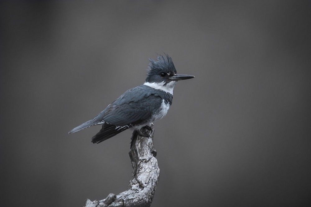 Photograph by Madelyn Stencel