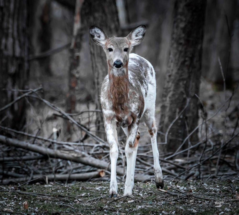 Photograph by Madelyn Stencel