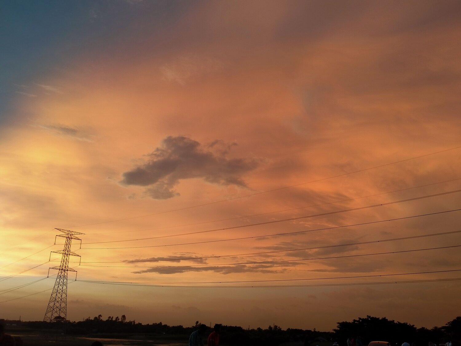 Photo #9052335