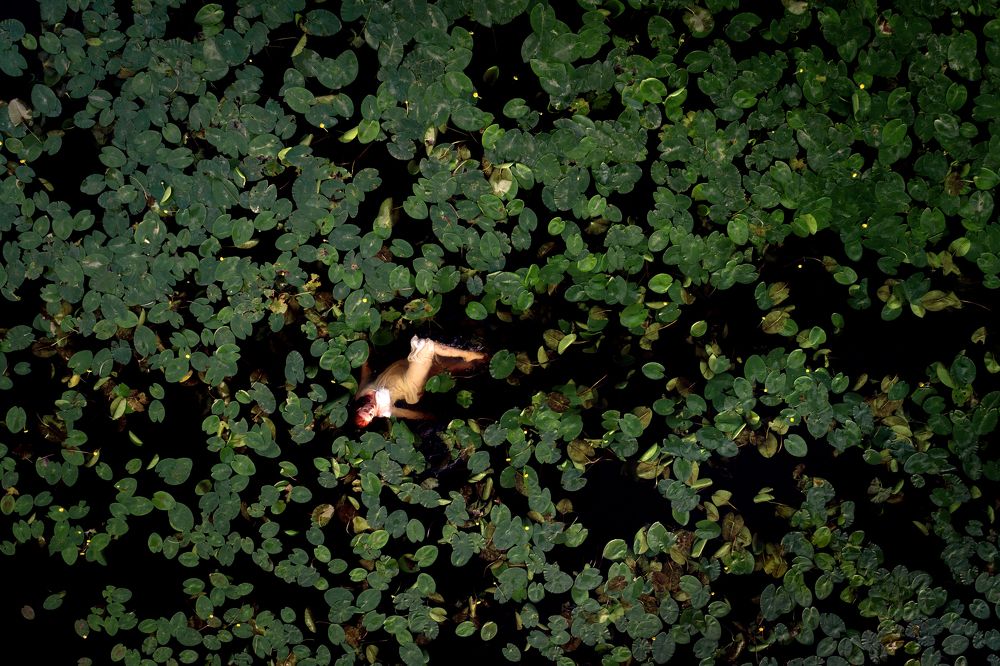 Photograph by Pavel Smekalov