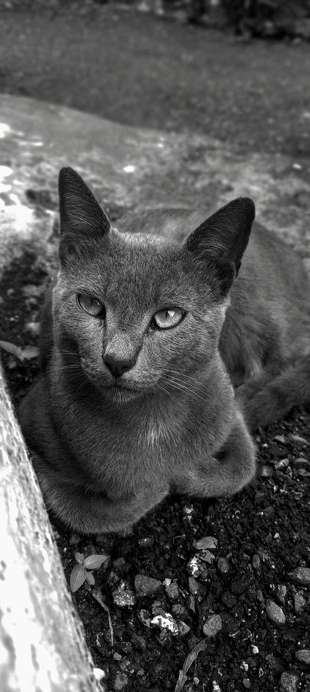 Photograph by Hadi hadipour