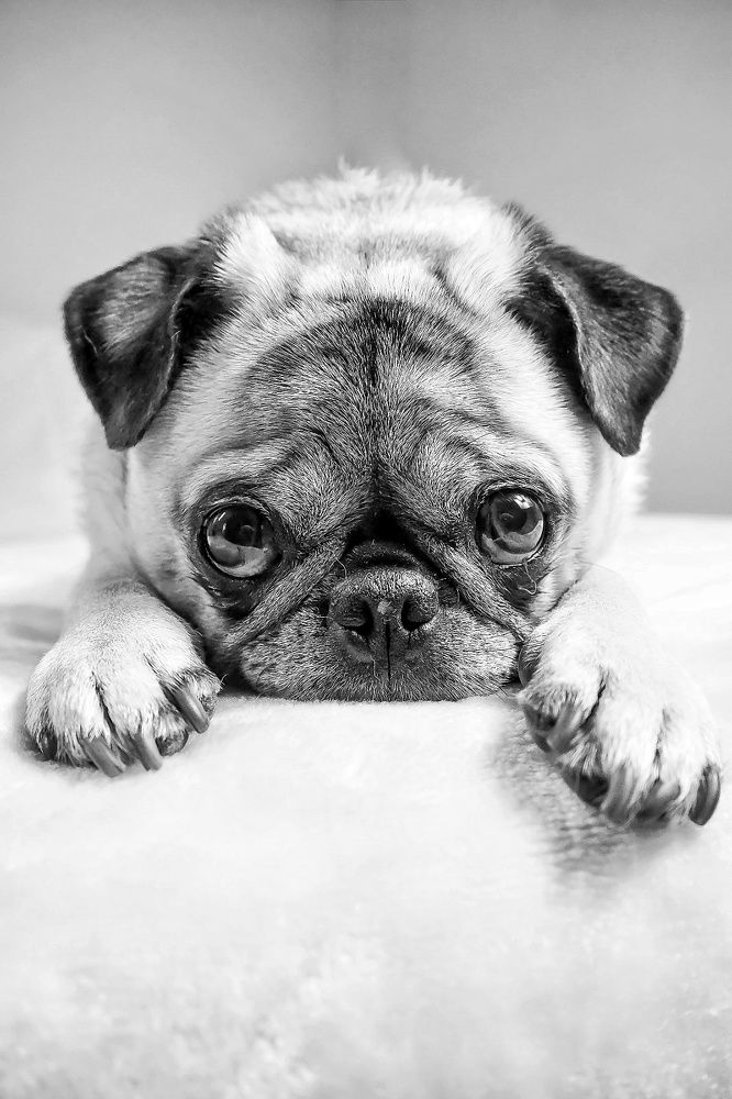 Photograph by Liliana Ospina staaden