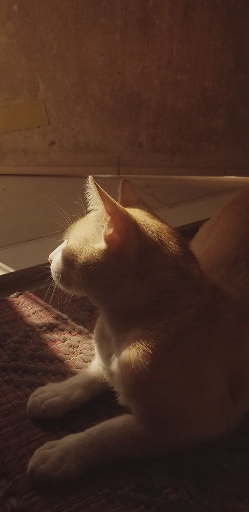 Photo #9052419