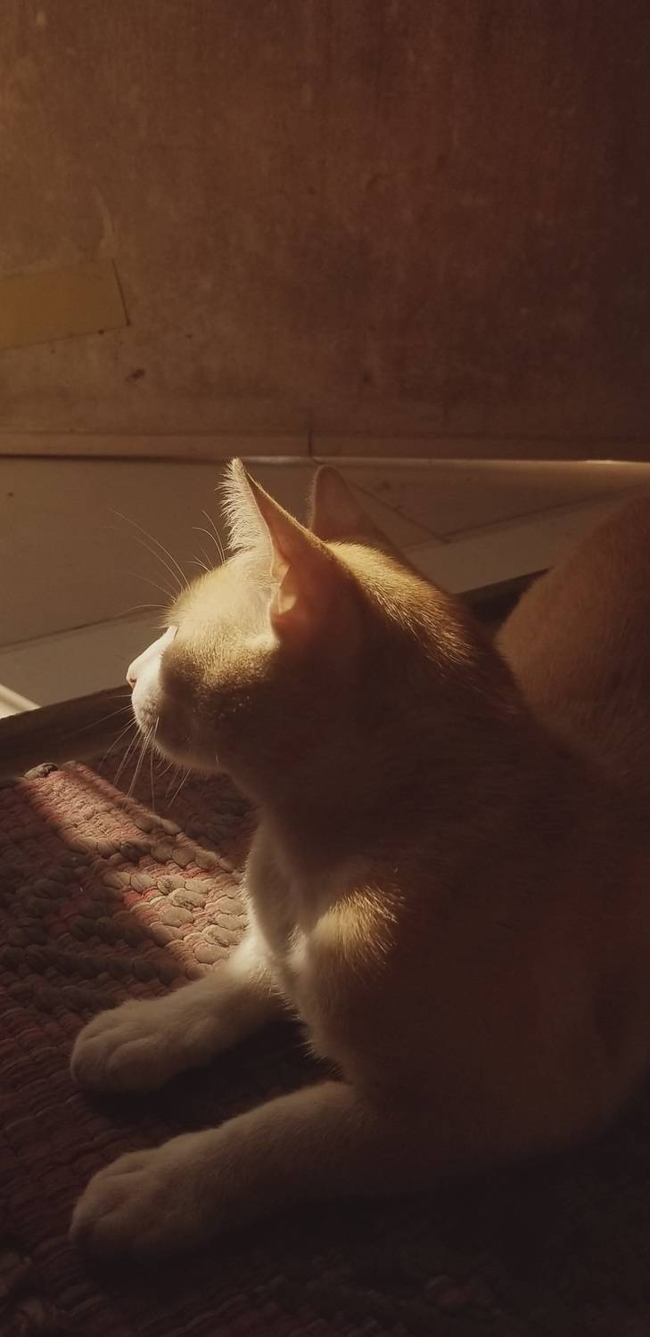Photo #9052419