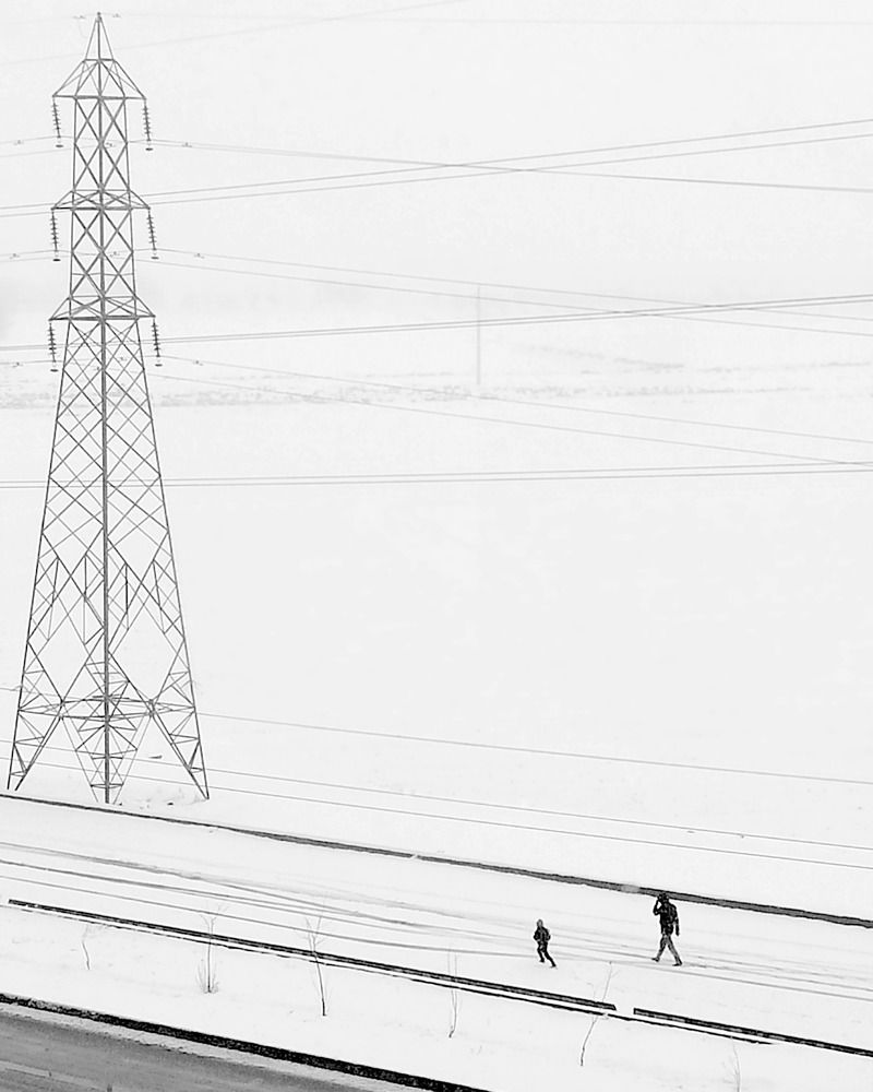 Walking Through Winter Silence