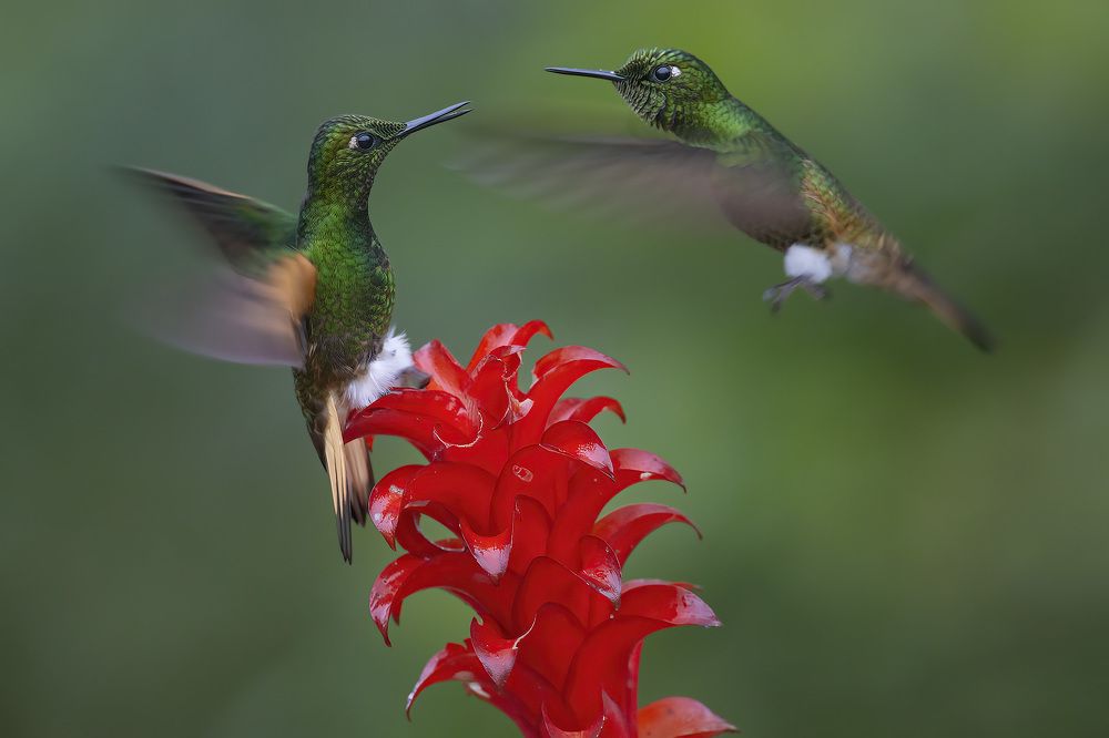 Photograph by Jefferson R O Silva