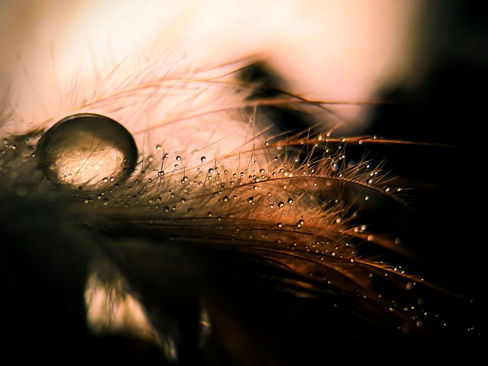 Photograph by Денис Грамович