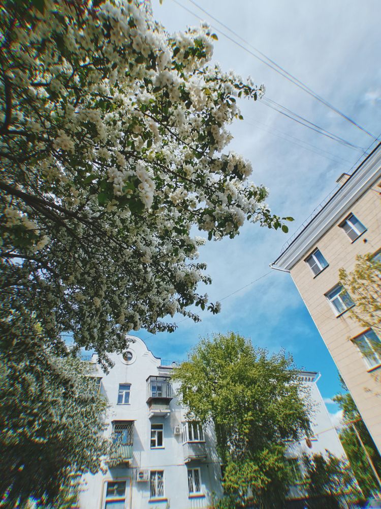 Photograph by Наталья Маврина