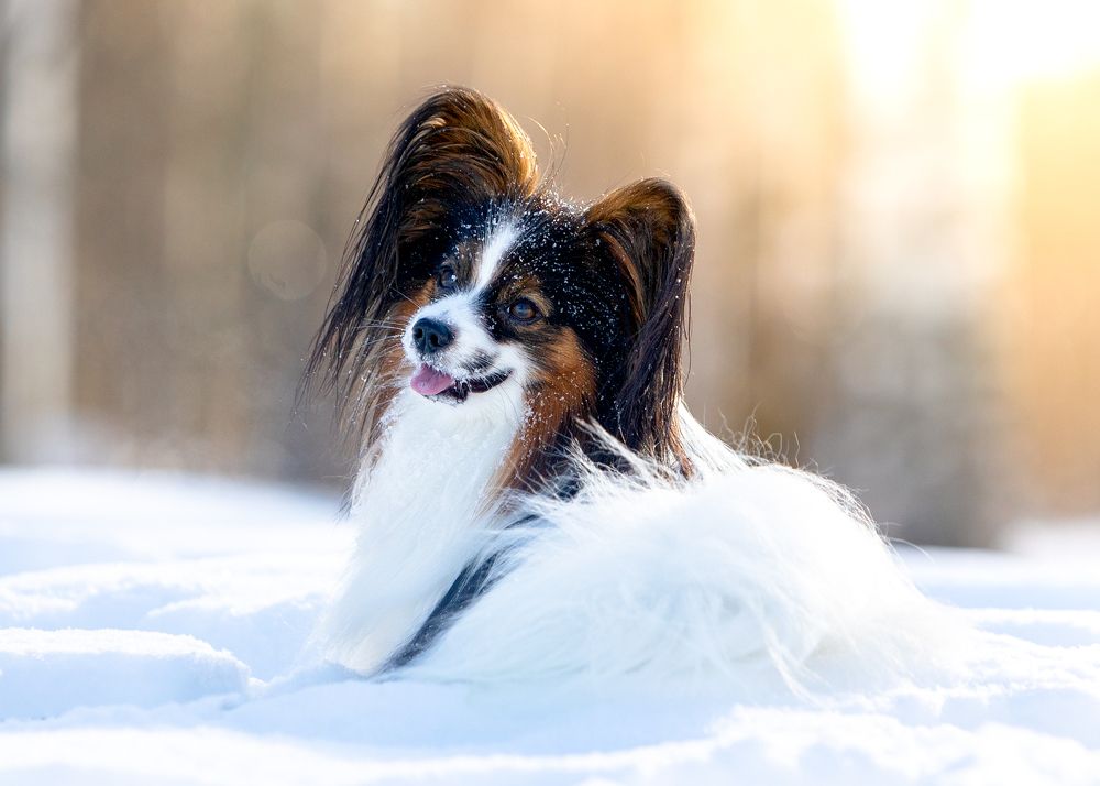 Фотография автора Евгения Глинская