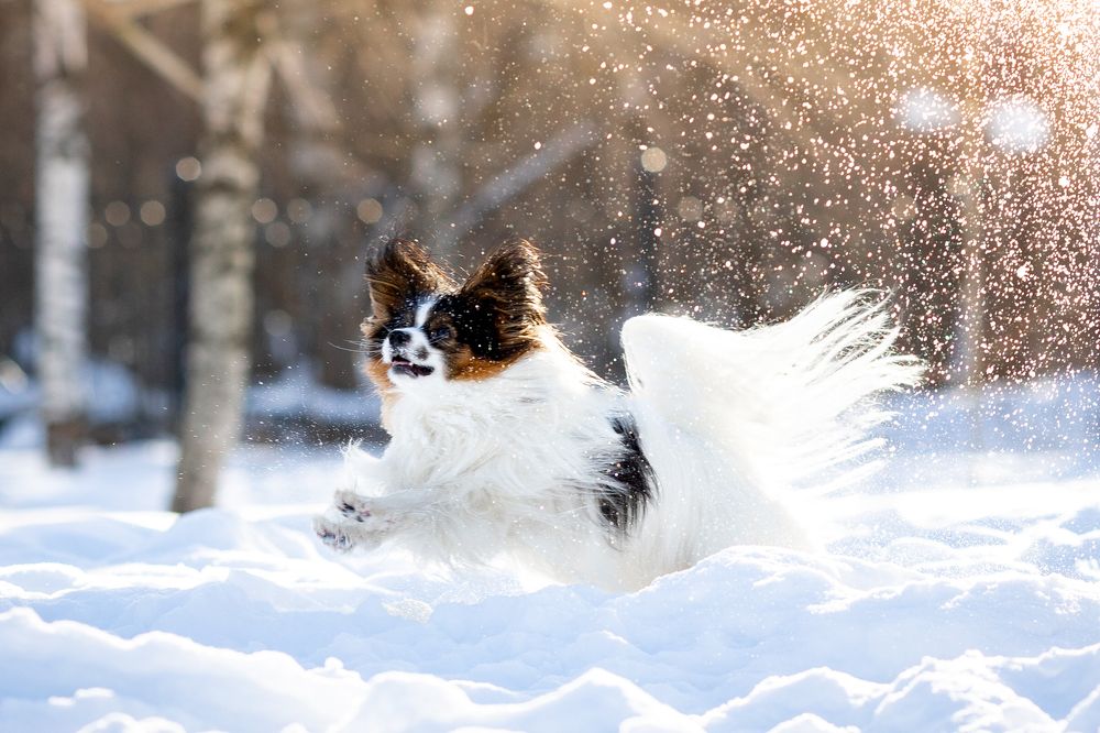 Photograph by Евгения Глинская