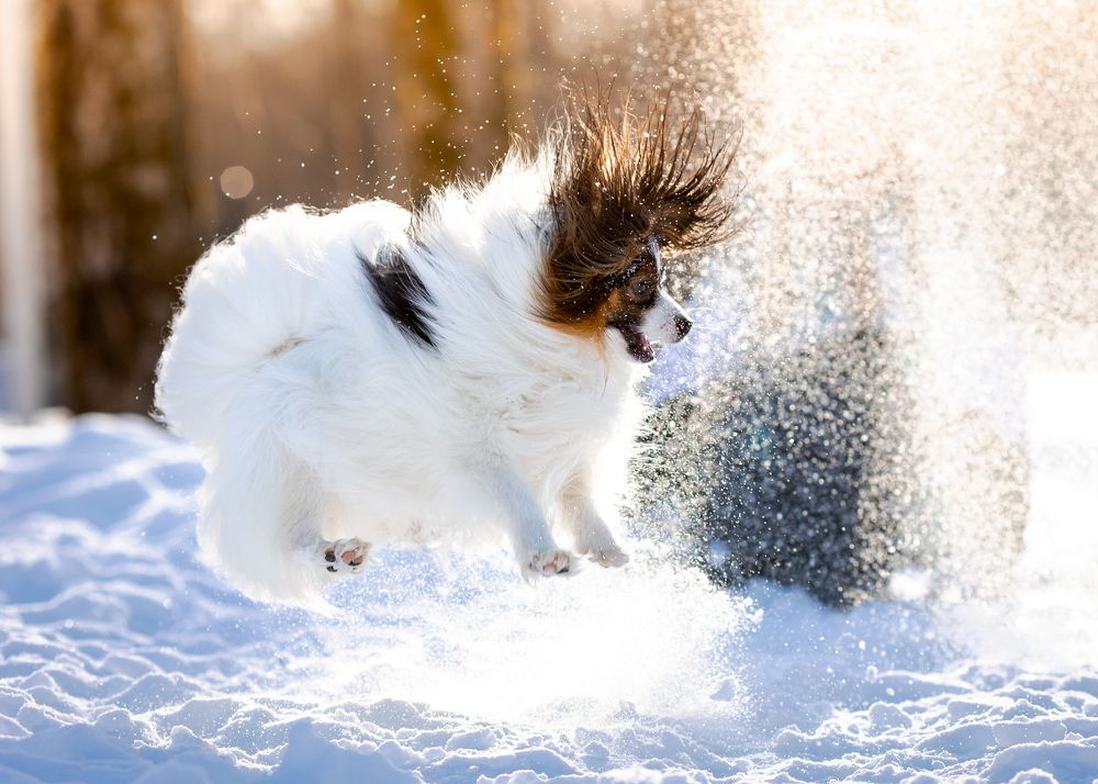 Photograph by Евгения Глинская