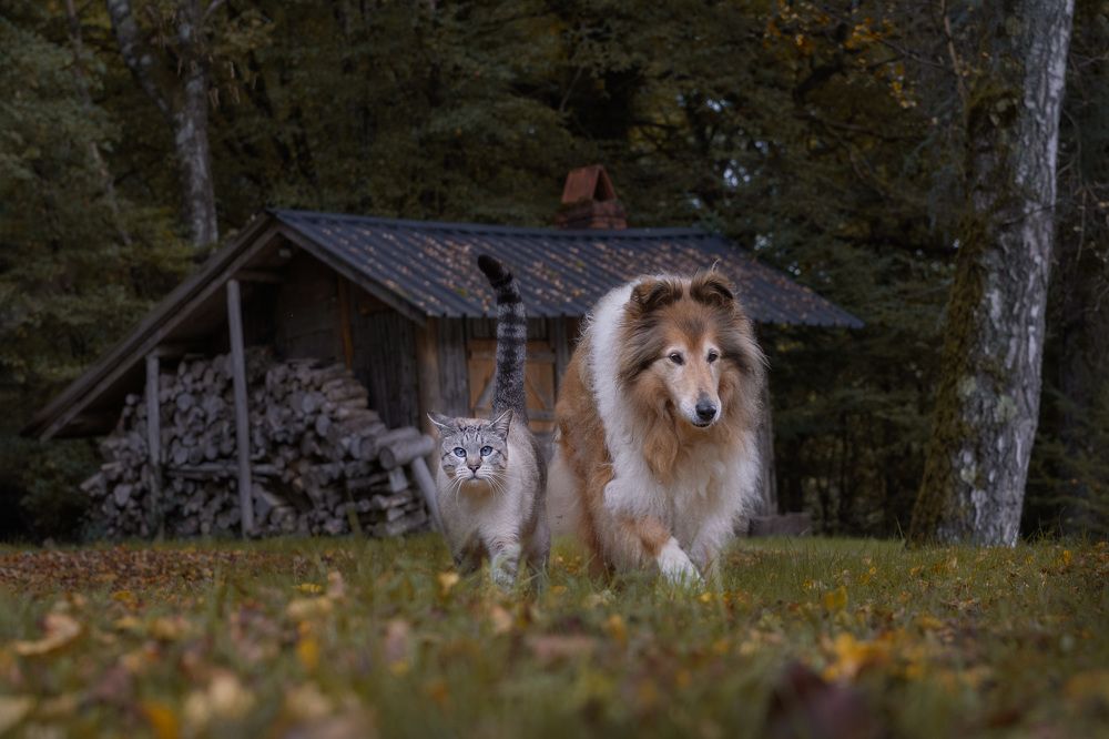 Photograph by LYUDMYLA POKRYSHEN