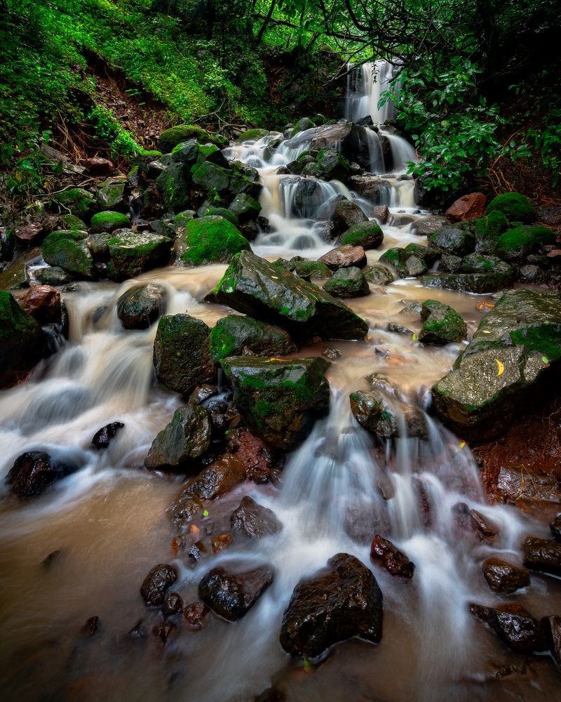 Photograph by Abhijeet Sawant