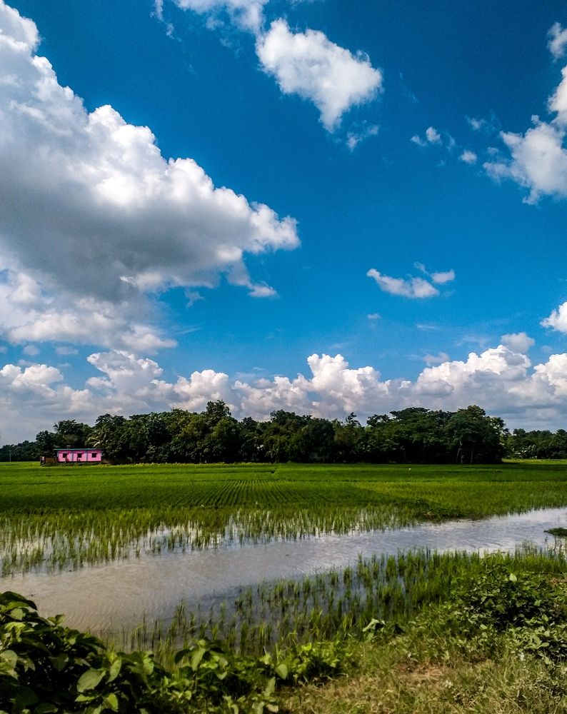 Photograph by Sarmin Mirjaa