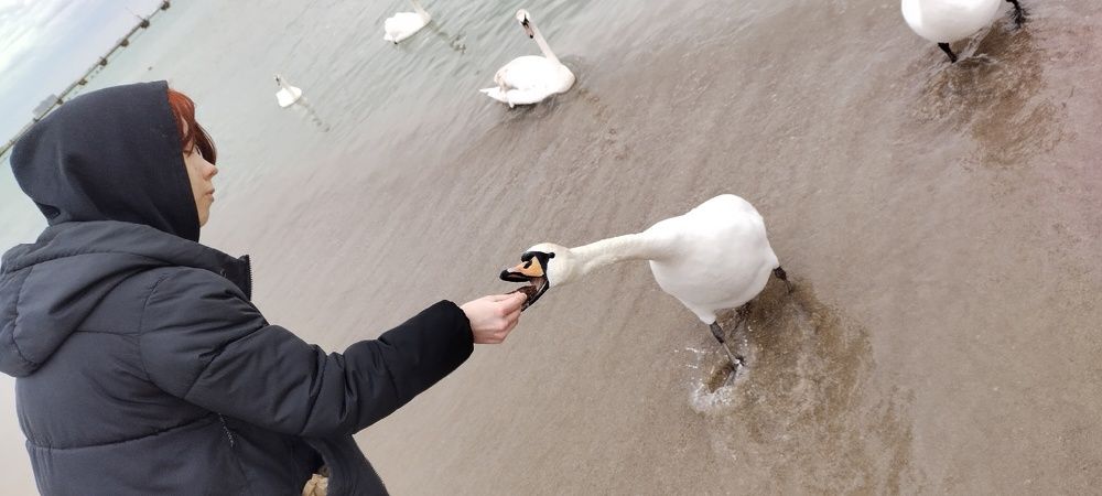 Photograph by Злата Иванченко