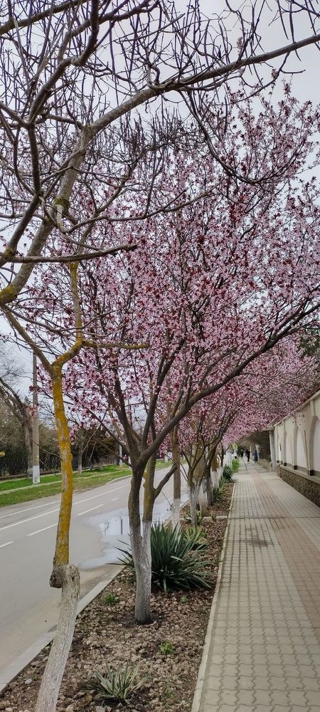 Photograph by Злата Иванченко
