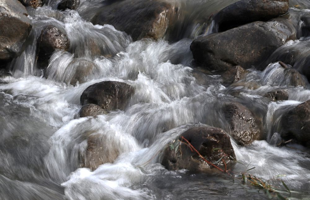 Photograph by Drora Baharal