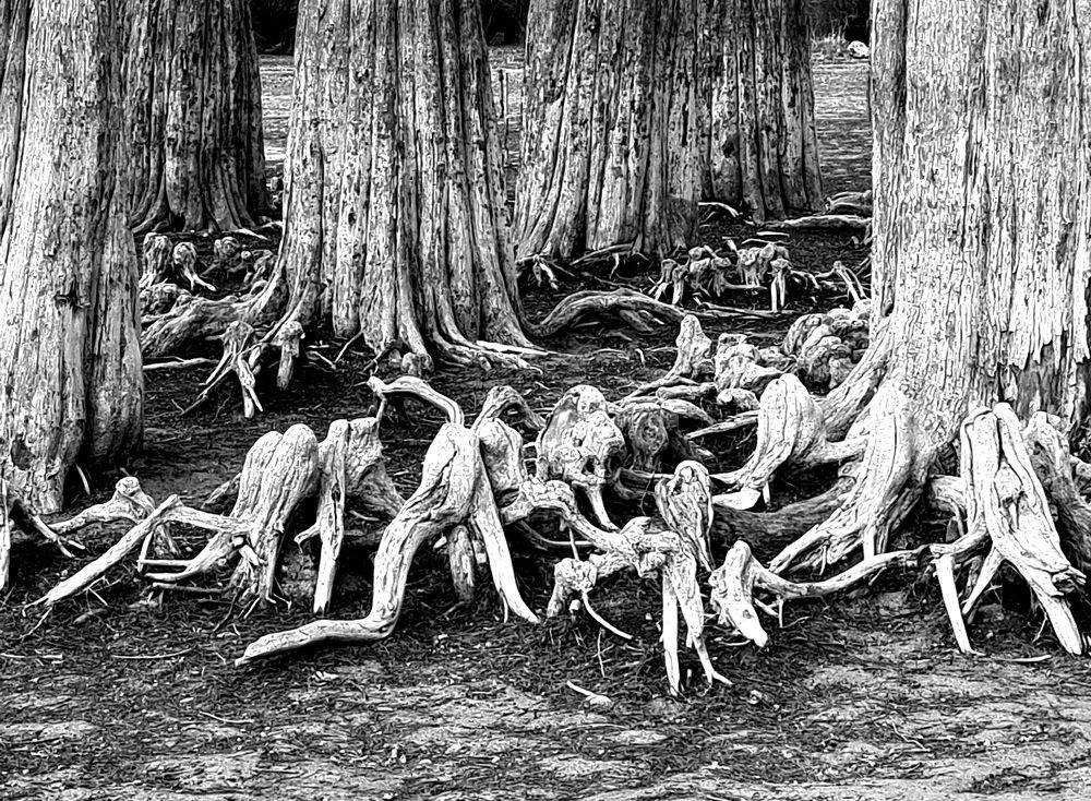 Коренное население