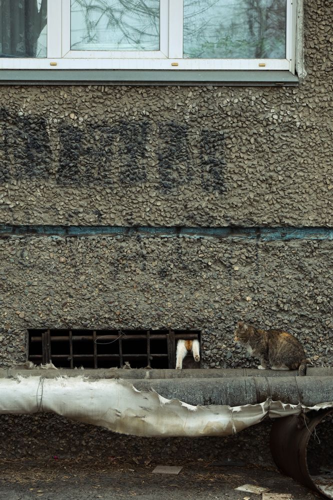 Фотография автора Julia Igosheva