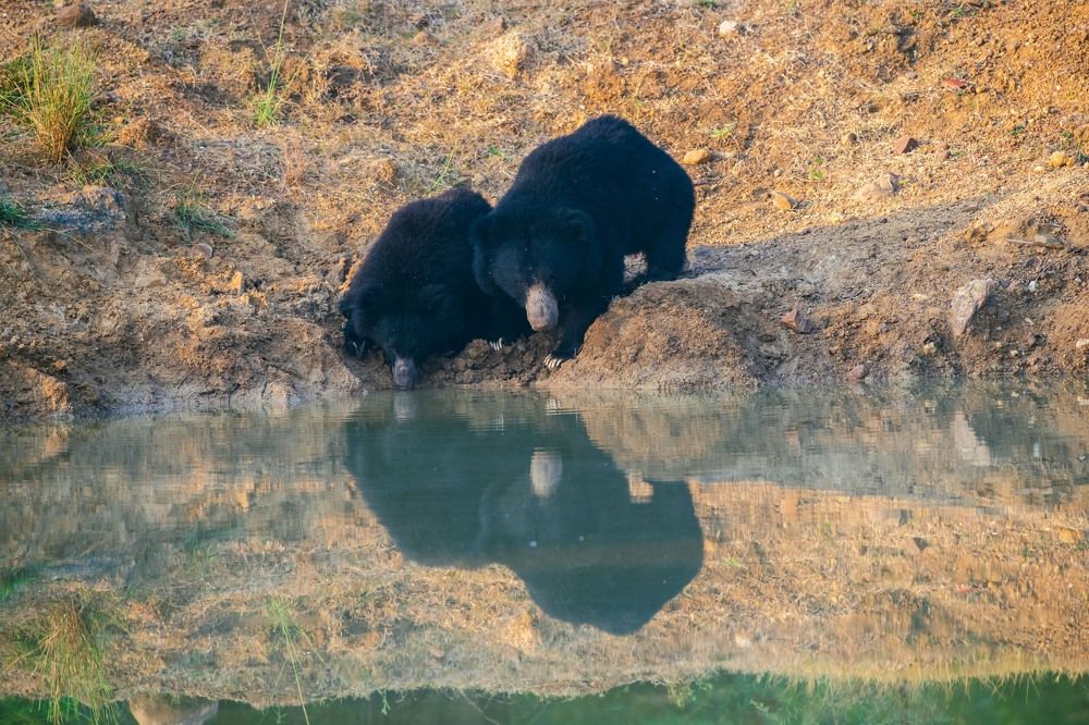 Photograph by Ranjith Kumar