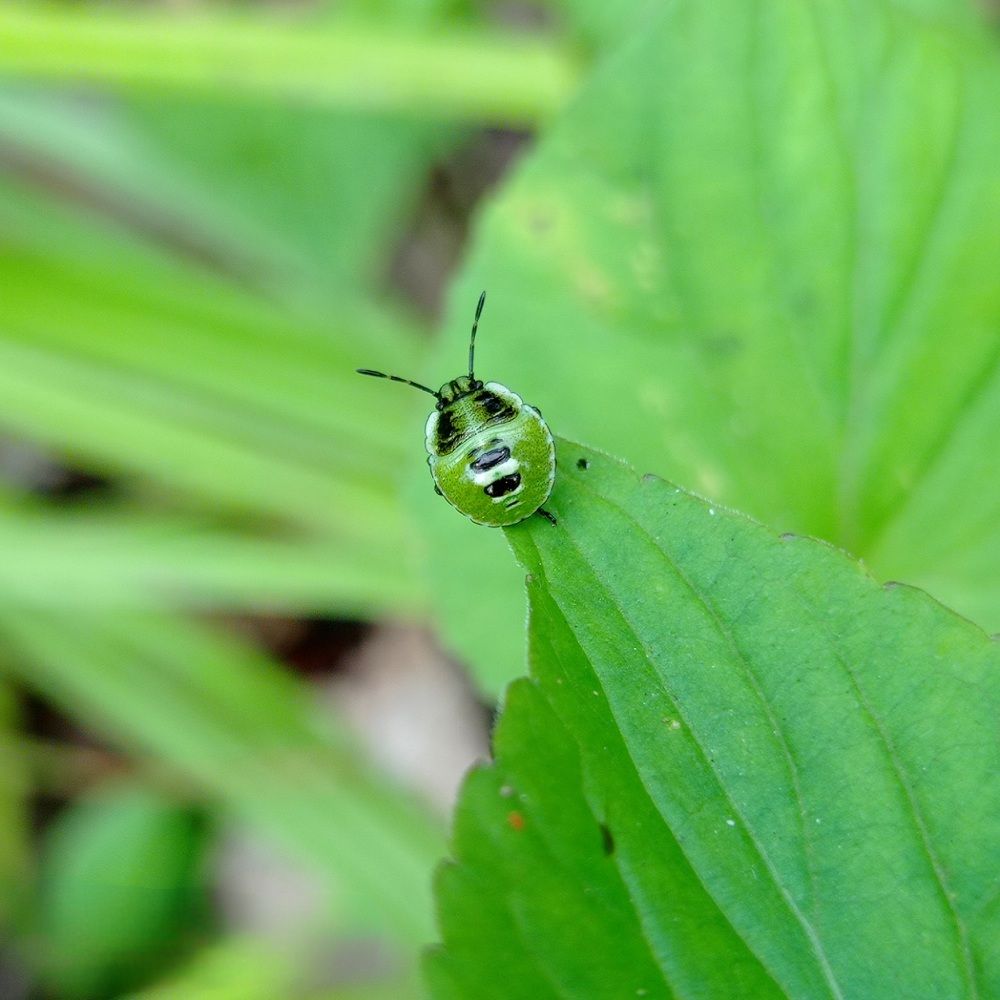 Photograph by Татьяна Анатольевна