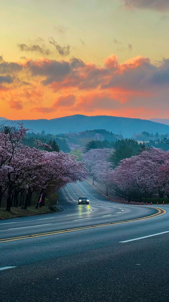 Фотография автора NGUYEN XUAN BAC