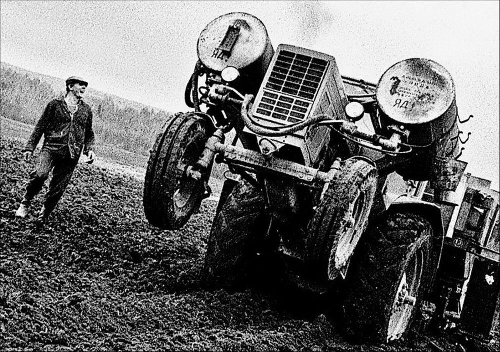 Поле чудес...