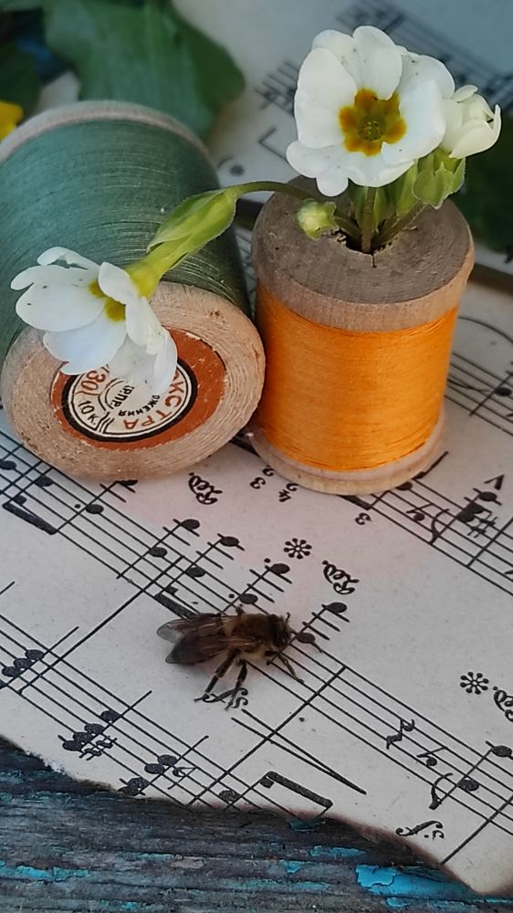 Фотография автора Марина Гусева