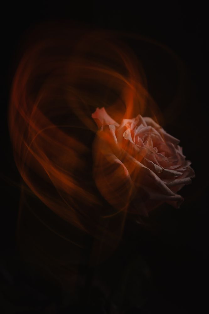 Photograph by Марина Слепова