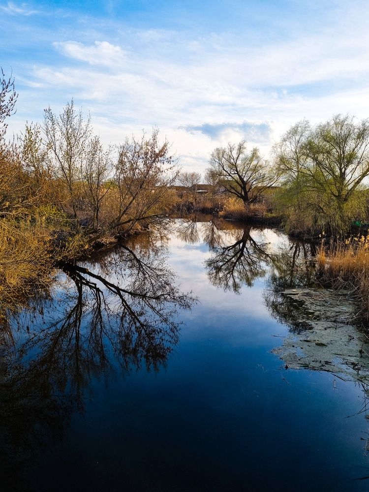 Photograph by Ирина Герлин