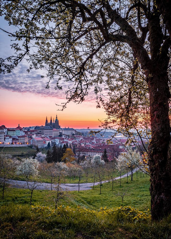 Photograph by Phi Hung