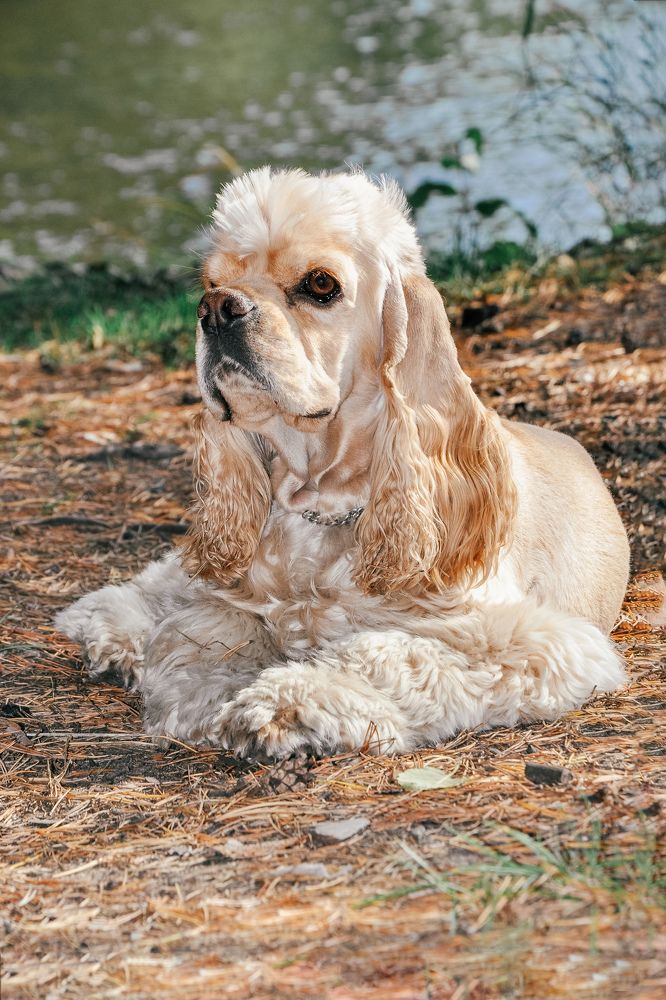 Photograph by Юлия Козельских