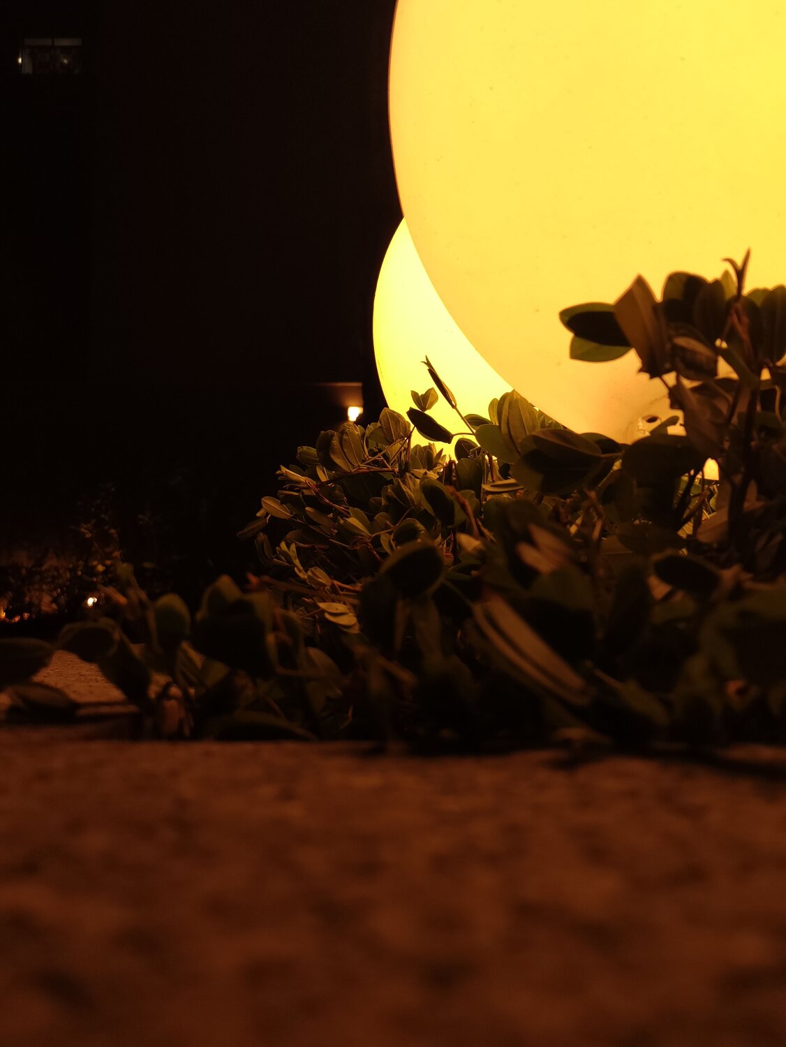 Photo #9054058
